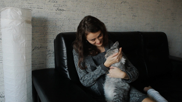 Girl Play With Grey Cat On Couch