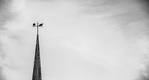 Top 10 Best Sellers!