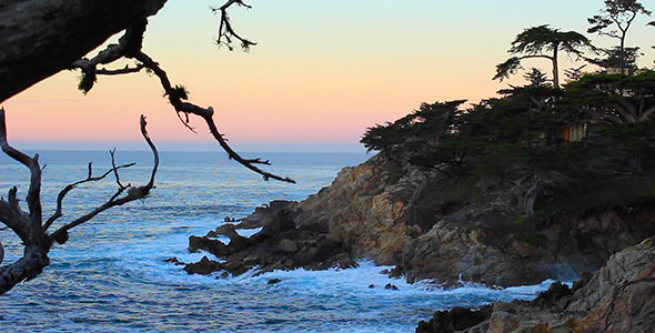 Cliffs at Pebble Beach Framed by Branches