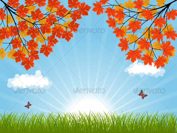 Nature background with a autumn landscape