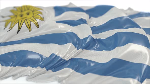 Uruguay Flag On A White Chalkboard  alt