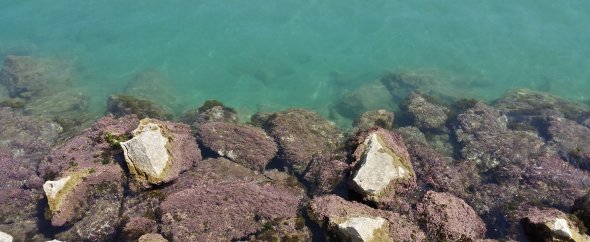 Undersea