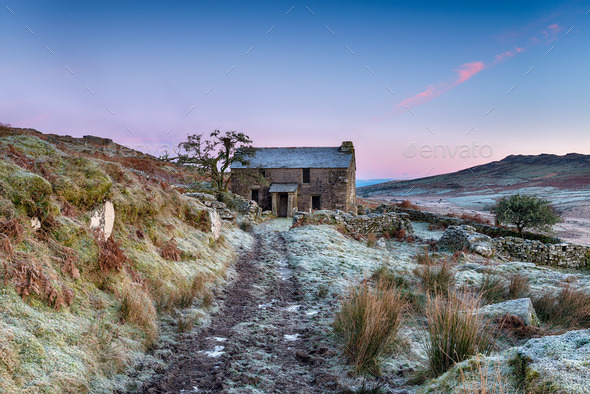 Frosty Morning on the Moor - Stock Photo - Images