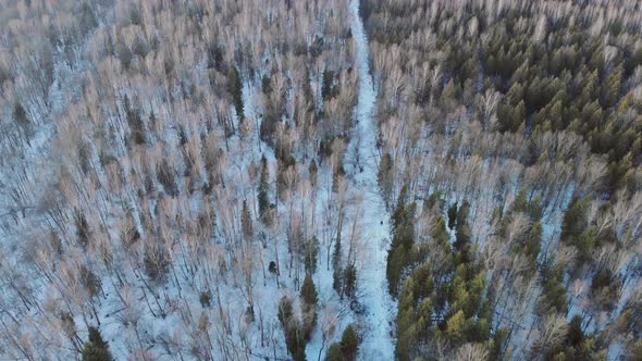 Aerial Panoramic View Winter Period Landscape Forest Trees Covered Snow Sunset alt