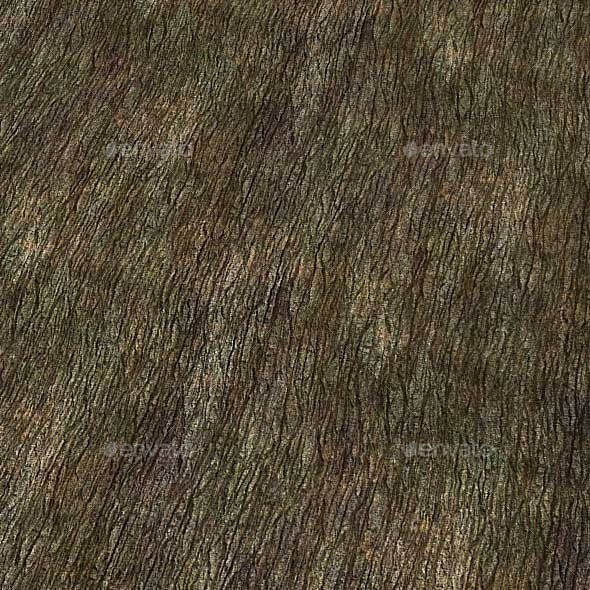 Tree Bark Texture - 3Docean 10148506