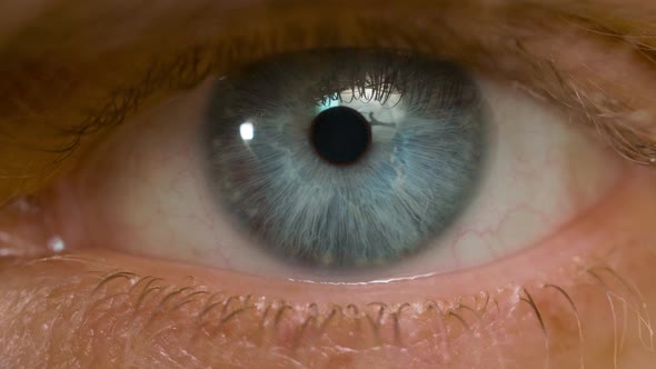 Macro Shot of Caucasian Male Blue Eye alt