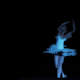Classic Ballet Dancer 1 - VideoHive Item for Sale