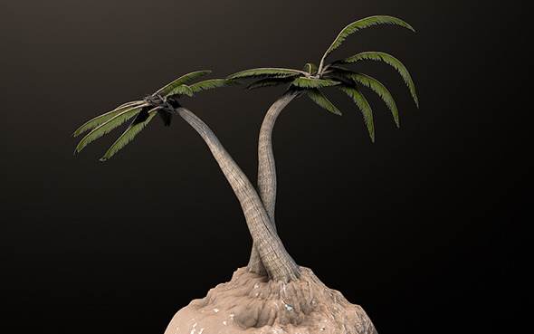 Beach Palm Tree - 3Docean 10182218