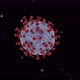 Single Coronavirus Cell  - VideoHive Item for Sale