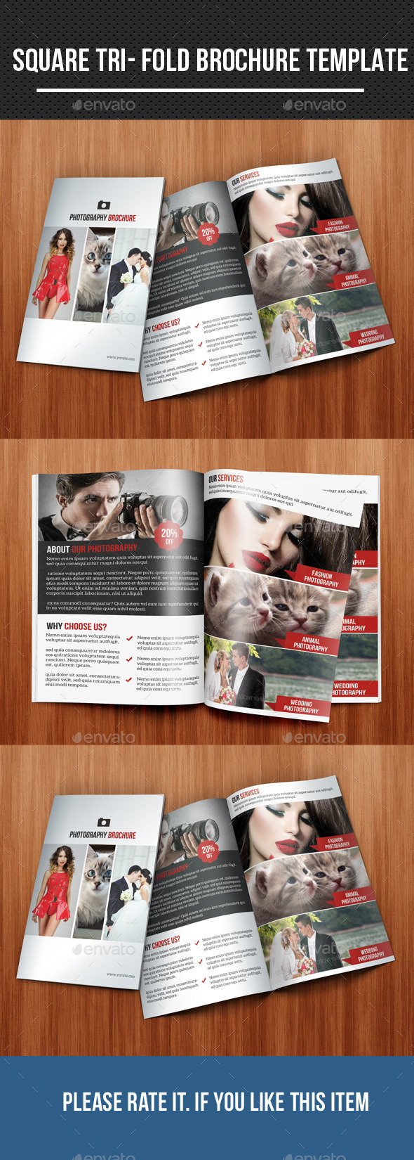 Photography Bi-Fold Brochure - Corporate Brochures