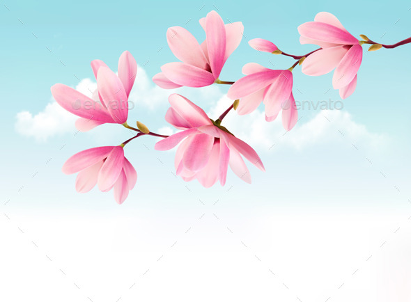 Valentine Background with Pink Flowers - Flowers & Plants Nature