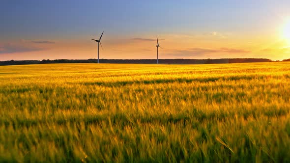 Golden field and wind turbines at sunset, aerial view, Poland alt