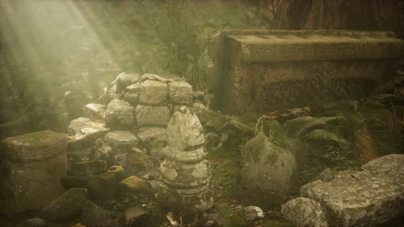 Hoary Ruins of Ancient City in Pine Forest alt