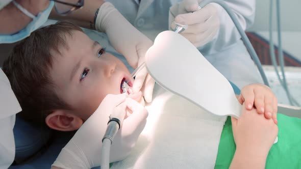 Woman Dentist Examines Baby Teeth of Little Boy Patient in Clinic alt