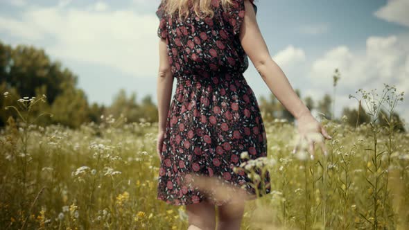 Girl In Hat Walking On Meadow On Weekend. Woman Walking In Summer Field. Vacation Holiday Trip alt