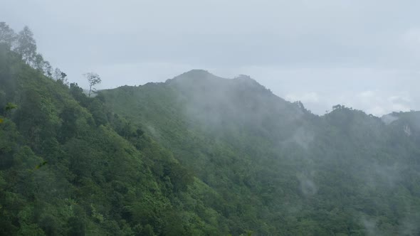 Landscape view of greenery rainforest mountains on foggy day