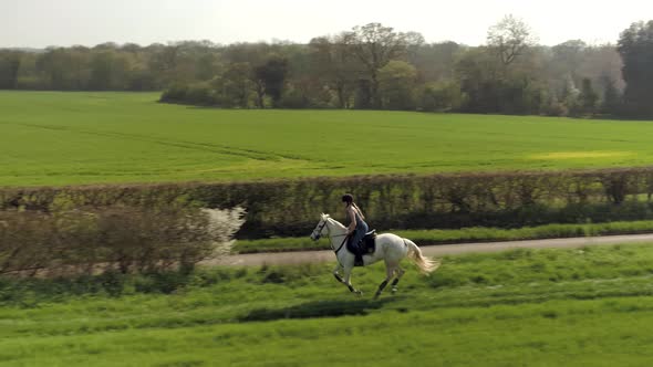 Horse Rider in the Countryside Trotting alt