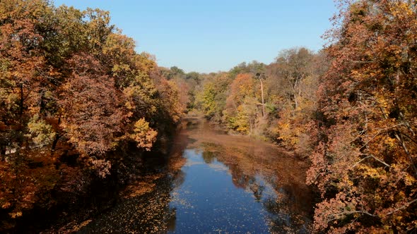 Flying Over Lake in Autumn Park on Sunny Day alt