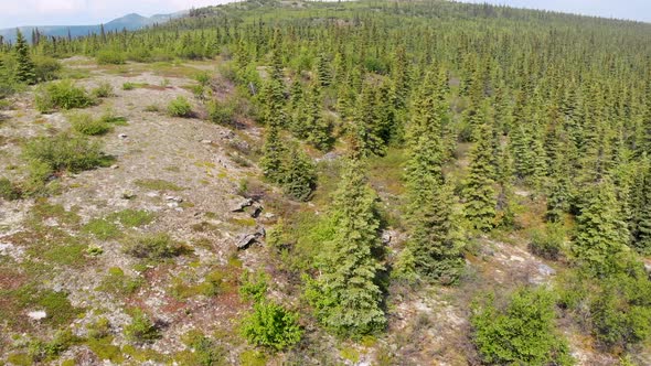 4K Drone Video of Rocky Cliffs of Wickersham Dome in the White Mountains of Alaska on Sunny Summer D alt