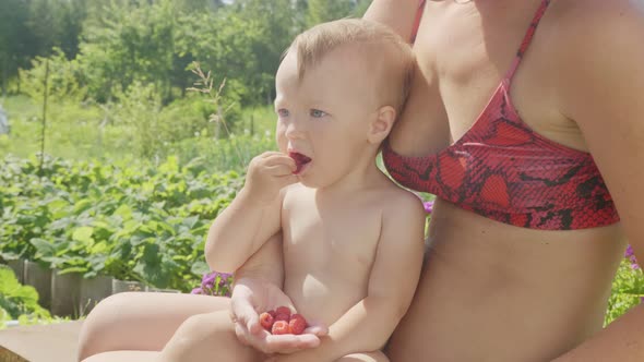 Little girl thoughtfully eats raspberries while sitting on her mother's lap
