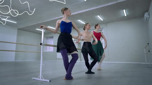 Gorgeous Talented Ballerinas Rehearsing Passe Releve Movement in Studio Indoors alt