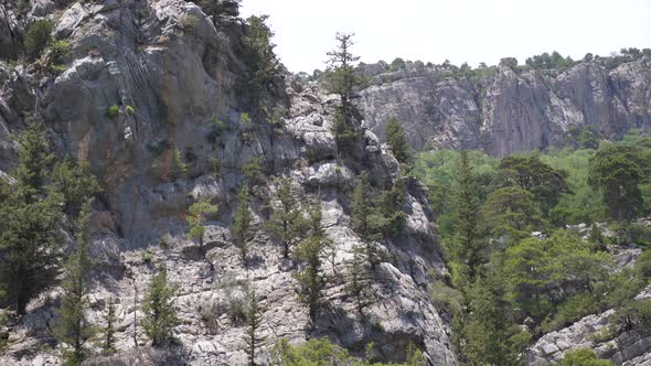 Panorama of Mountain Rocks