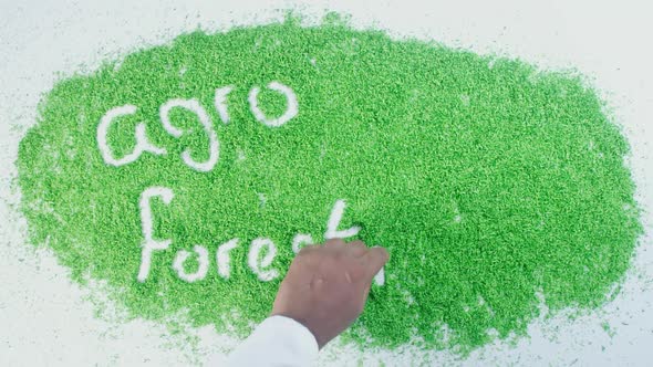 Green Hand Writing Agro Forestry