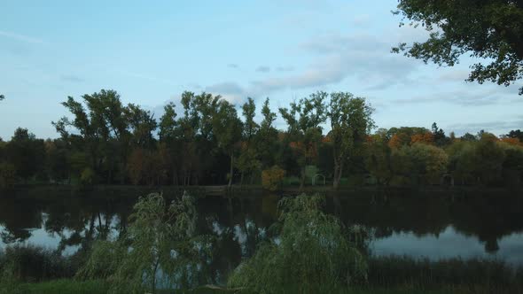 Flight over the autumn park. Trees with yellow autumn leaves are visible. Aerial photography. alt
