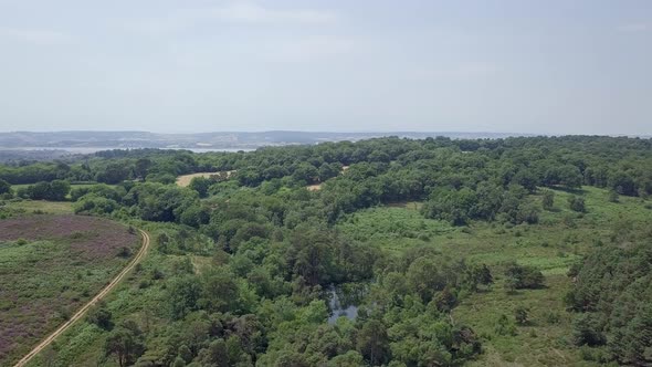 Aerial fly over of a forest water hole outside Budleigh Salterton in Devon, UK alt