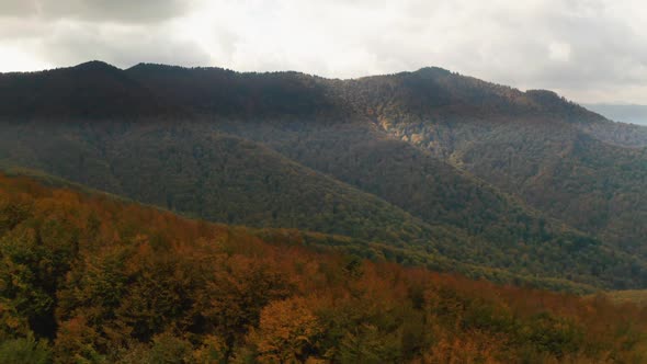 Golden Autumn Drone View of Forest Landscape with Yellow Trees From Above alt