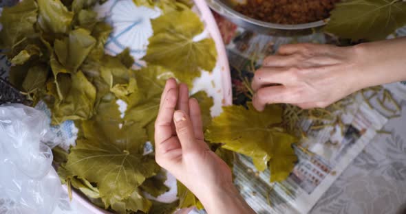 How to Make Homemade Turkish and Greek Traditional Dish Stuffed Grape Leaves