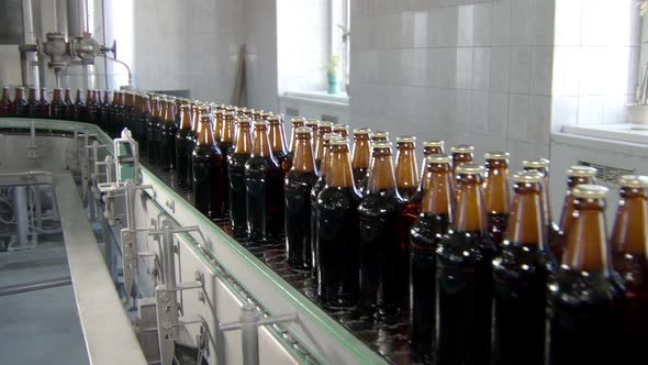 Modern Equipment of Bottling Beer in Plant Workshop, Bottles with Lager Are Moving