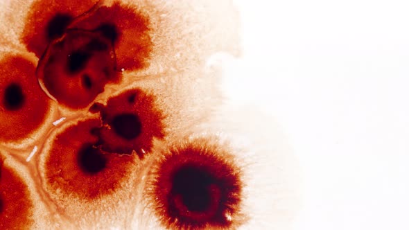 Abstract Ink Drops On Wet Paper 72 alt