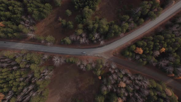 Closeup curve road with cars between deep green forest in Ural alt