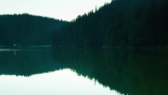 Beautiful Nature and a Wonderful Landscape with Lush Green Forests and Vegetation Around the Pearl