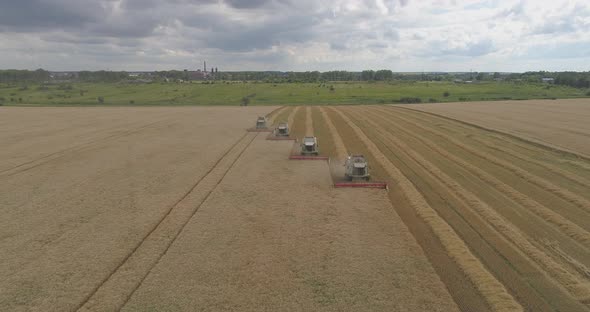 Aerial view of combines harvesting alt