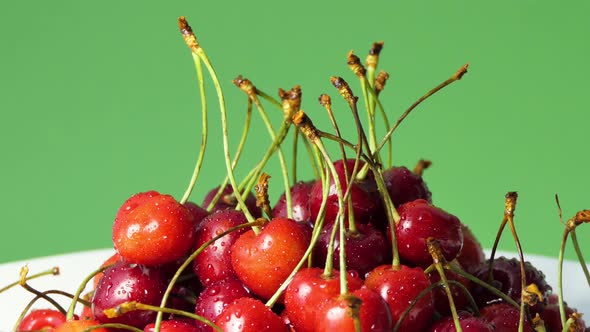 Red Cherries in Water Drops on a Green Background
