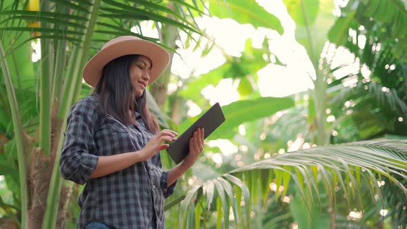 Young woman farmer monitoring orchard and sends data to the cloud from the tablet.