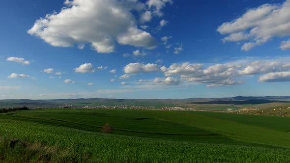 wheat field and white clouds timelapse,