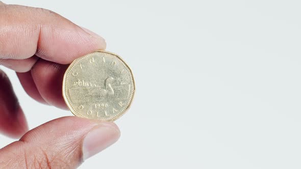 Fingers Hold A Bronze Canada One Dollar Back