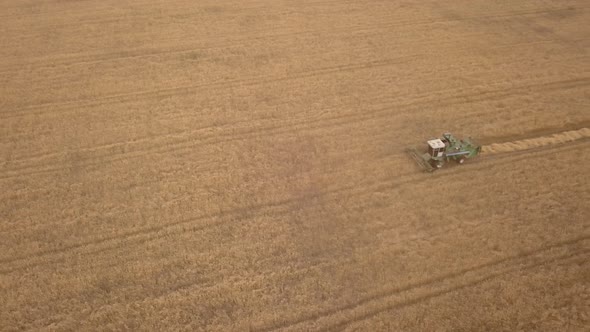 Aerial Drone Shot of a Combine Harvester Working in Autumn