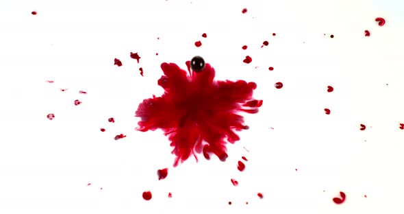 Blood Dripping against White Background, Slow Motion 4K alt