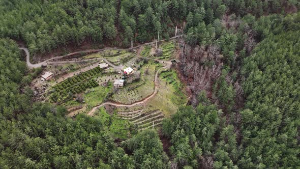 Farming on the banks of the river aerial view Alanya Turkey 4 K alt