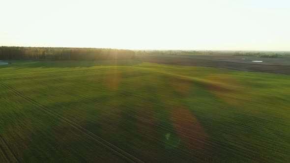 Green Land Field At Sunset