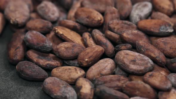 Roasted Cocoa Beans Making Drinks Chocolate Desserts