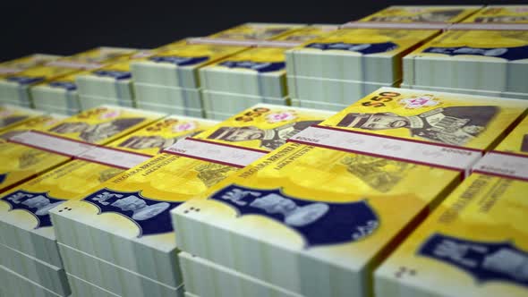 Brunei dollar money banknote pack growth up loop alt