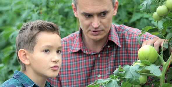 Excursion to Hothouse  alt