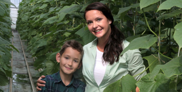 Harvest of Cucumbers  alt