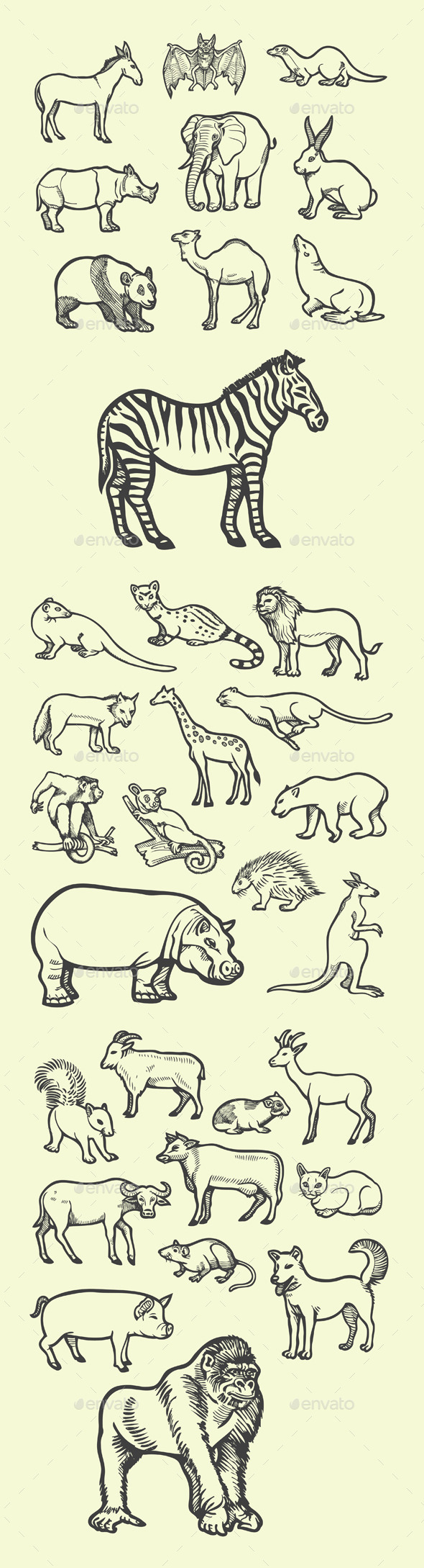 Animal Sketches - Animals Characters