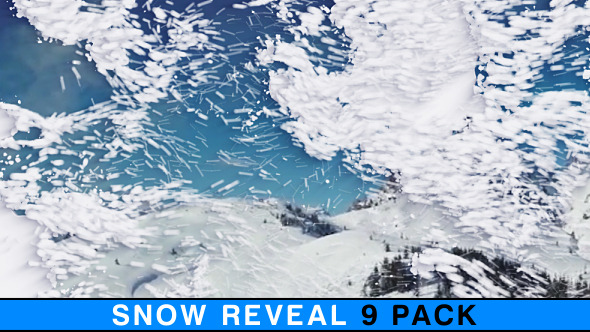 Snow Reveal Pack